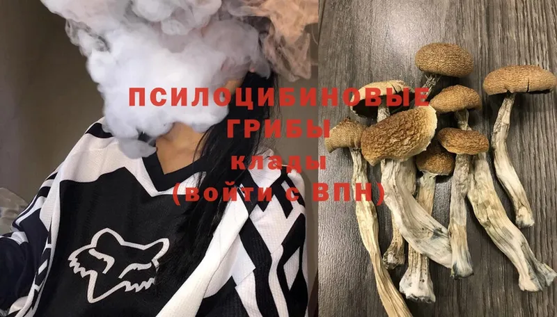 Псилоцибиновые грибы Magic Shrooms  Тобольск 